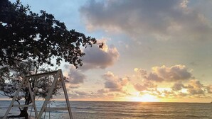 Une scène de plage avec une balançoire et un arbre.