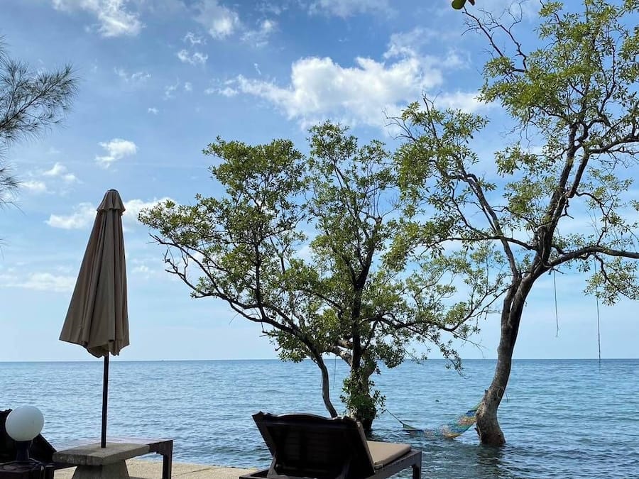 Área da propriedade