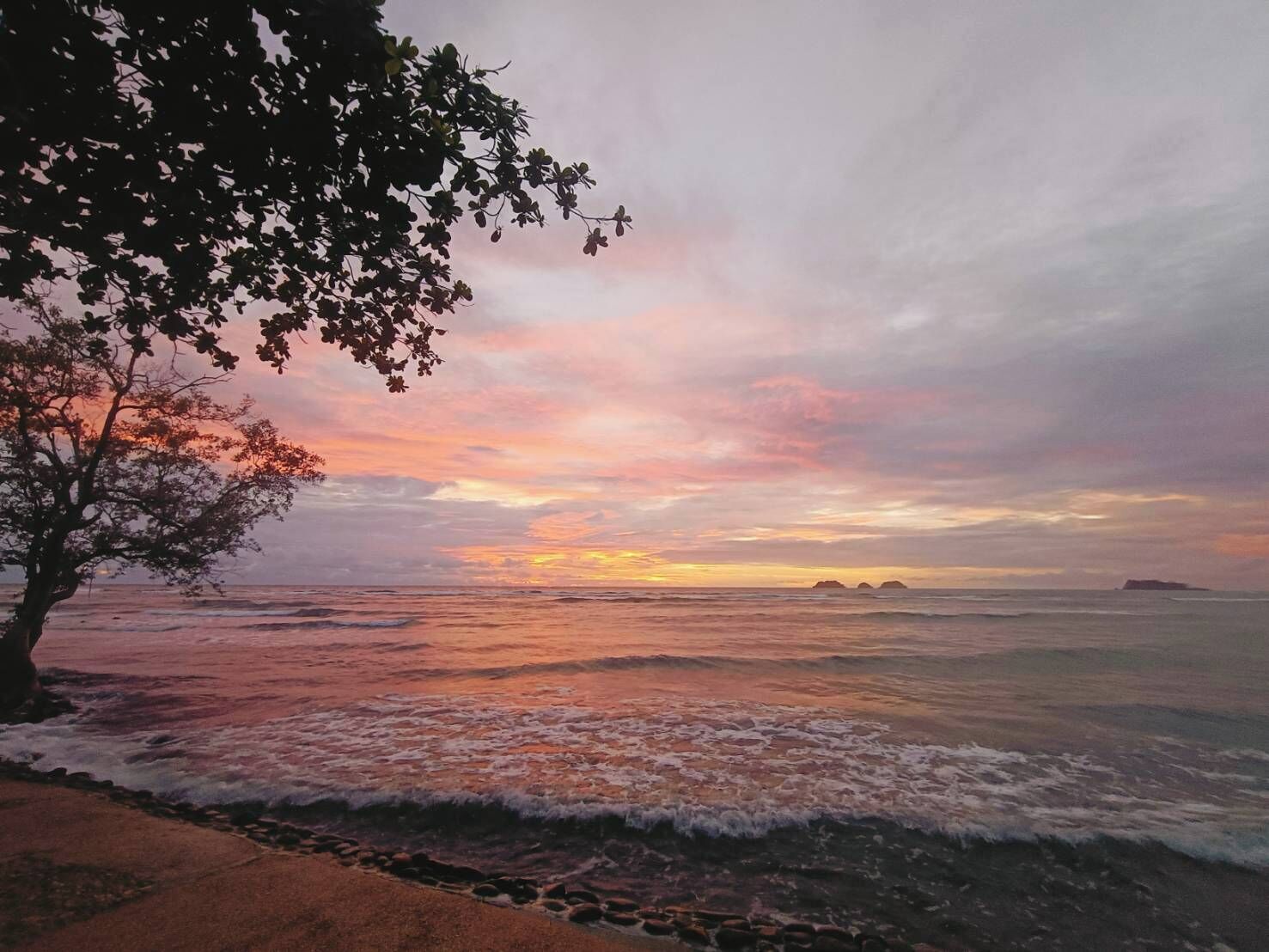 A beach with waves, a tree, and a sunset.