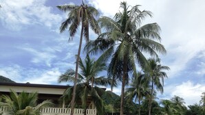 Ảnh chưa phân loại, 2 trong số 85 ảnh, nút