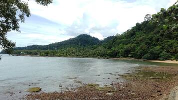 Escape to a serene coastal haven surrounded by lush greenery and a tranquil body of water.
