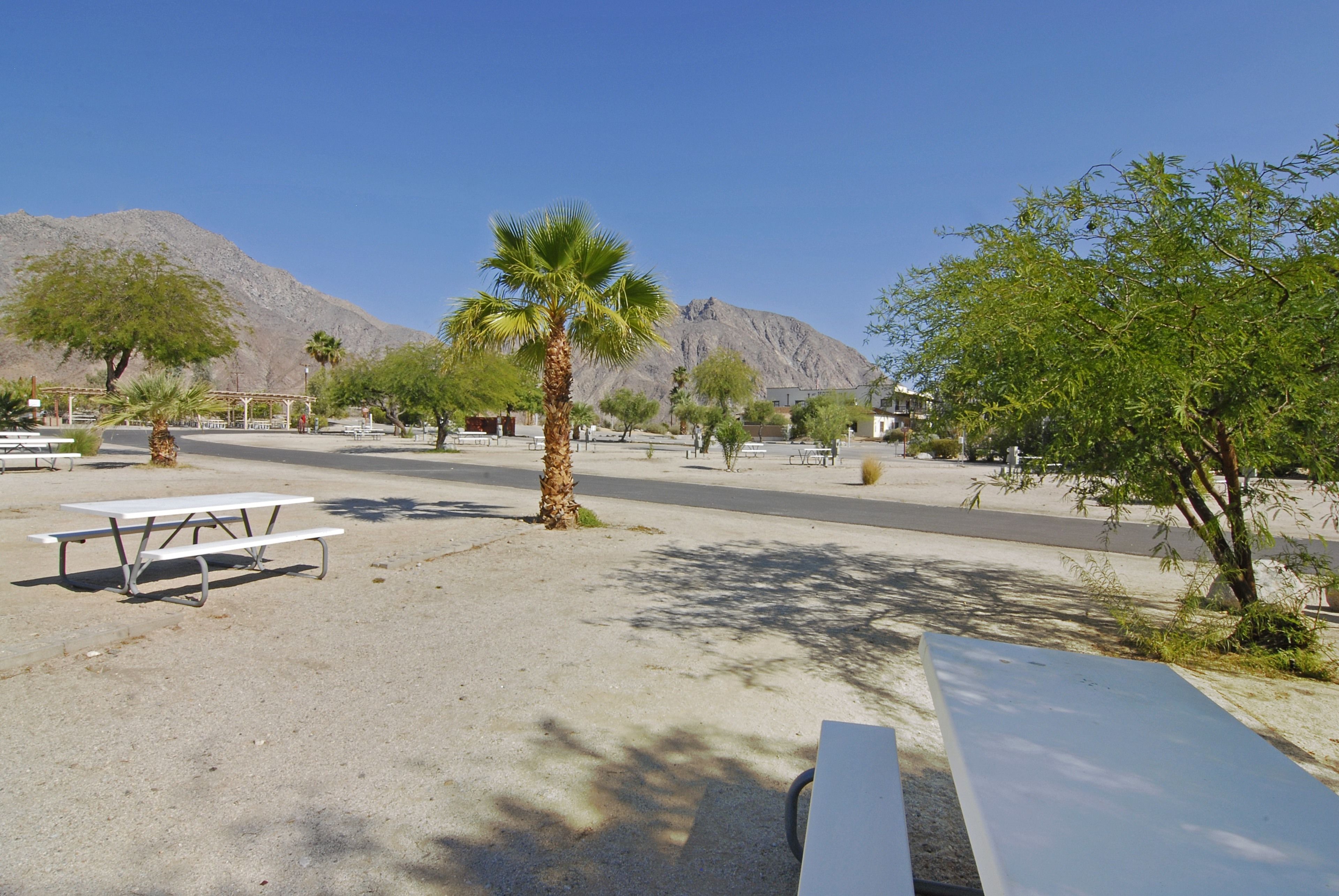 Un espacio al aire libre con mesas de picnic, una palmera y una montaña al fondo.