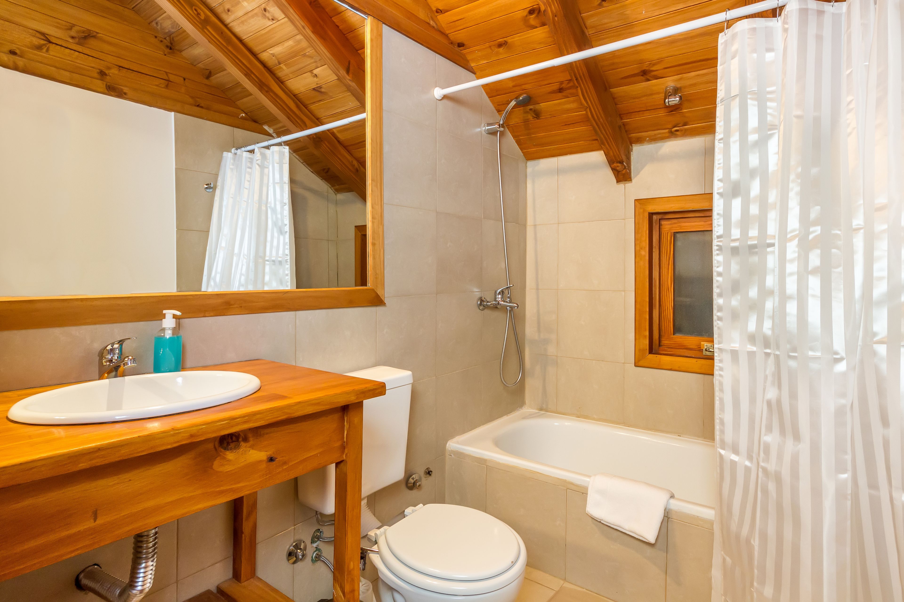 combined shower/bathtub, hair dryer, bidet, towels