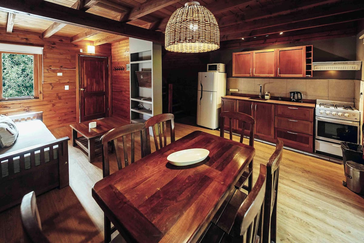 junior apartment, 1 bedroom (3 people) | living area | 42-inch smart tv with satellite channels, fireplace