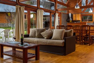 Smart TV 42 pulgadas con canales de televisión vía satélite, chimenea