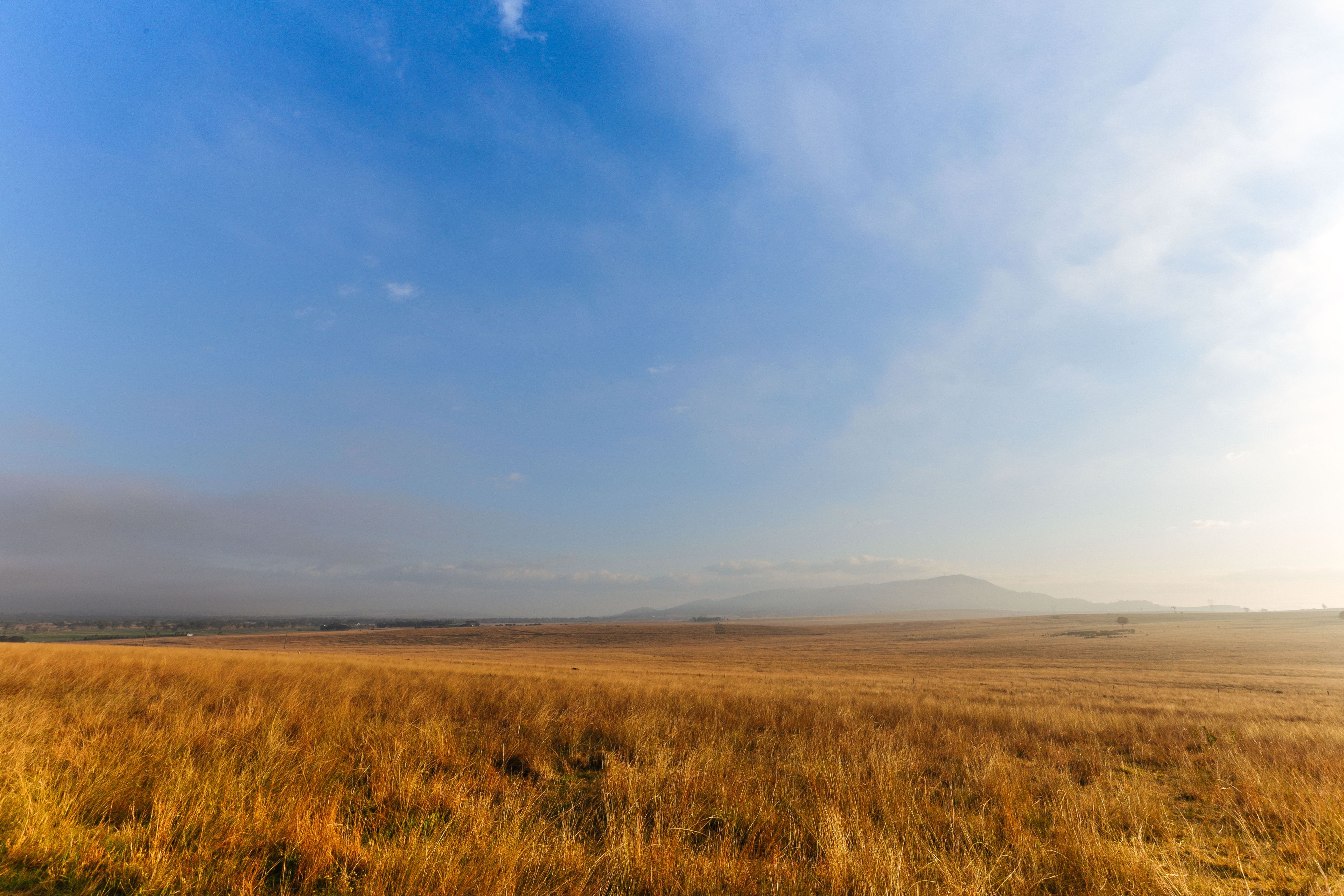 Un extenso campo abierto con cielo despejado y montañas lejanas.