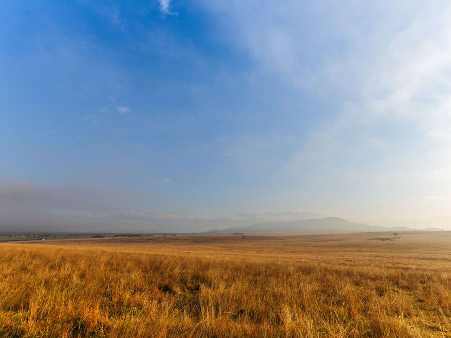Un extenso campo abierto con cielo despejado y montañas lejanas.