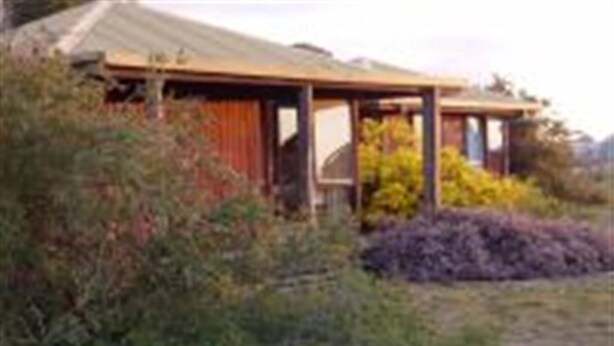 A rustic building with a wooden structure and a metal roof, surrounded by dense vegetation. - Asses Ears Wilderness Lodge (Brimpaen)