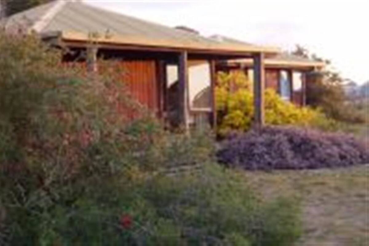 A rustic building with a wooden structure and a metal roof, surrounded by dense vegetation.