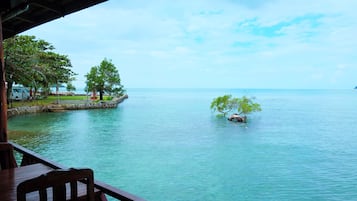 Se sirven desayunos, comidas, cenas y mariscos con vista a la playa