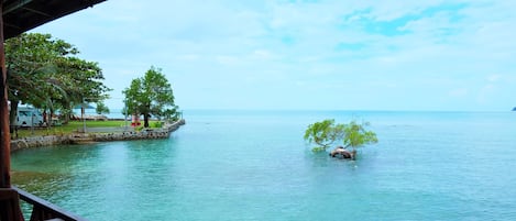 Petit-déjeuner, déjeuner et dîner servis sur place, vue sur la plage