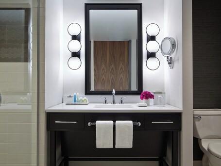 Loews Chicago Hotel - Image 72