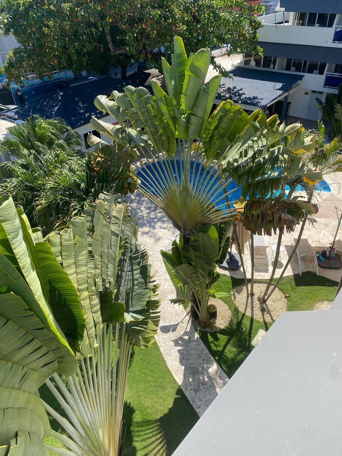 Foto - New Garden Hotel