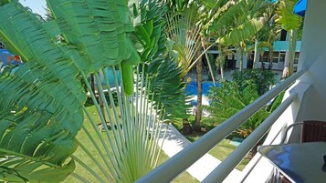 Vista del balcón