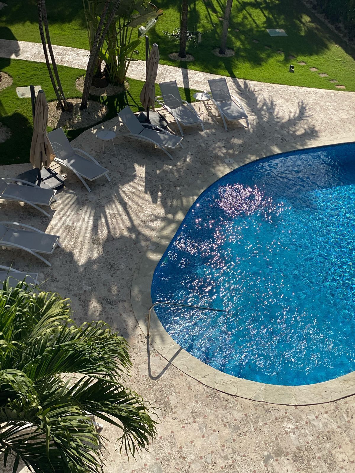 Foto - New Garden Hotel