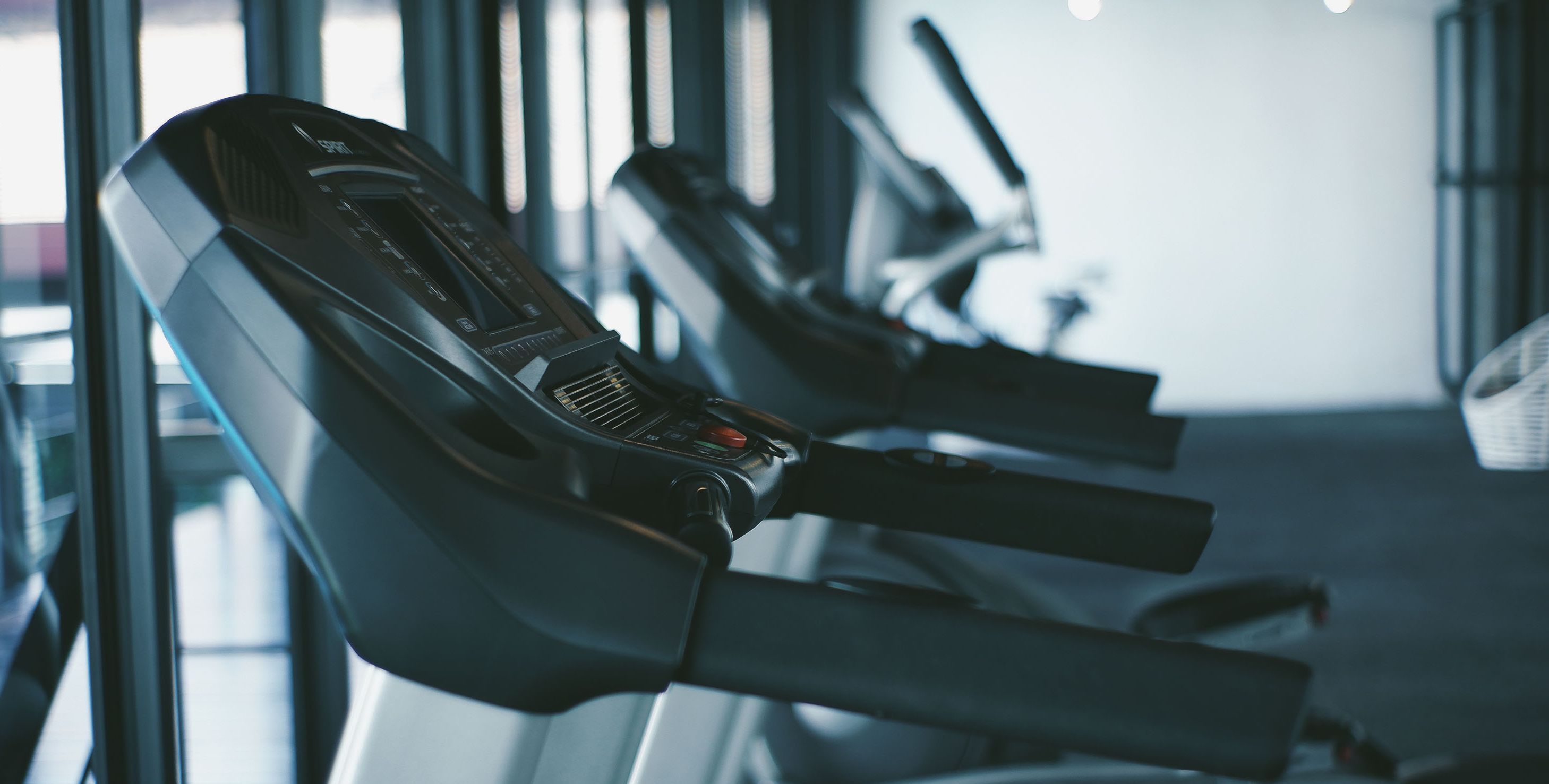 Une rangée de vélos d’appartement alignés dans une salle de sport dotée de grandes fenêtres.