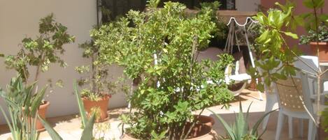 مدخل المنشأة