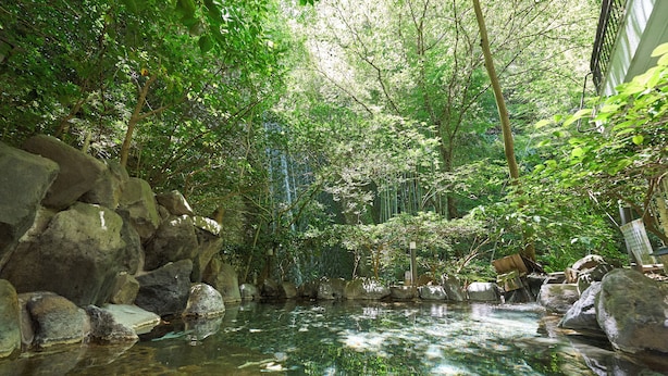Un jardín interior tranquilo con una fuente de agua cristalina rodeado de rocas y abundante vegetación.