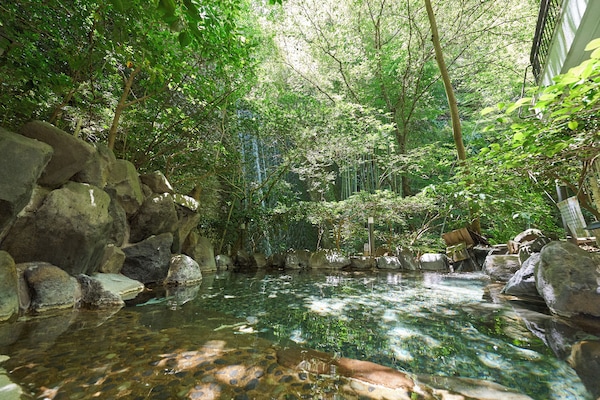 Aguas termales