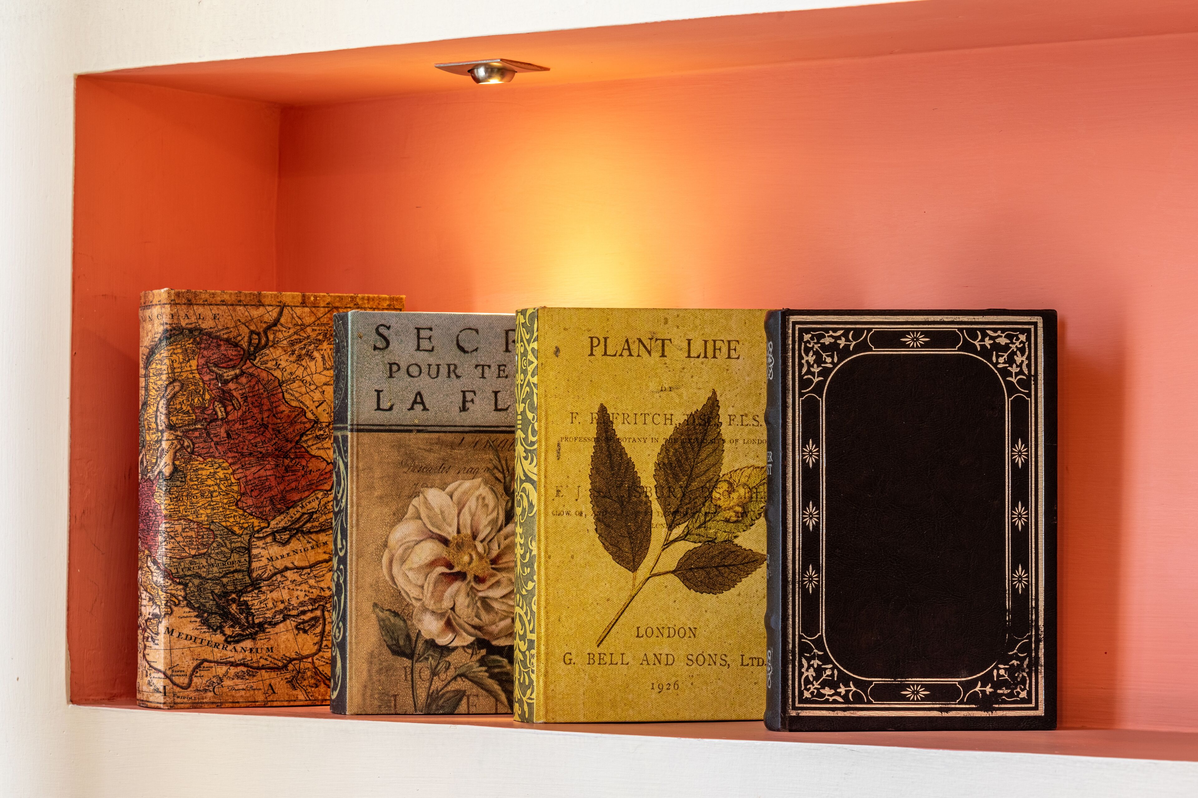 A shelf with three books and a decorative frame.