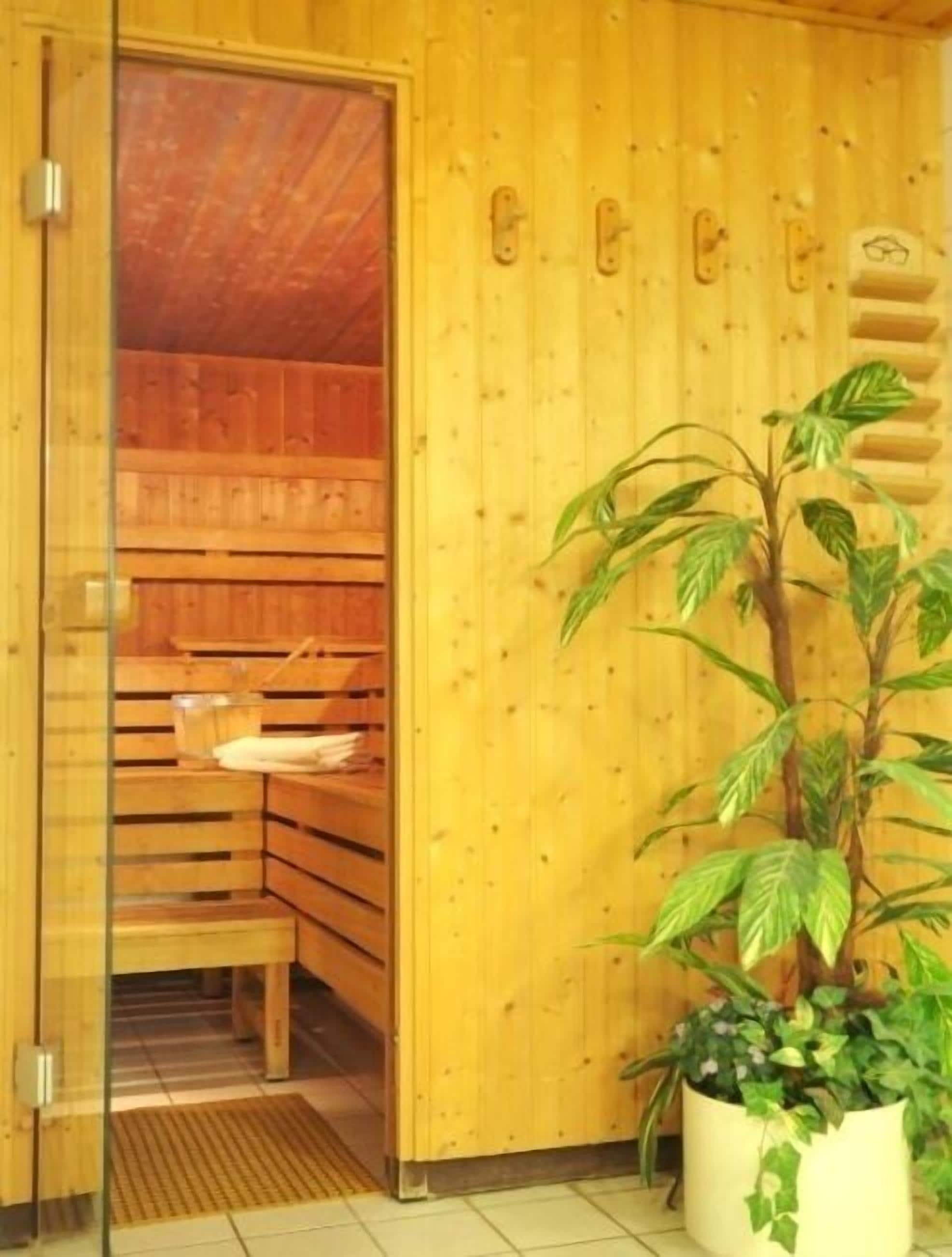 A sauna with wooden benches and a glass door, a potted plant, and a wooden wall with a towel rack.