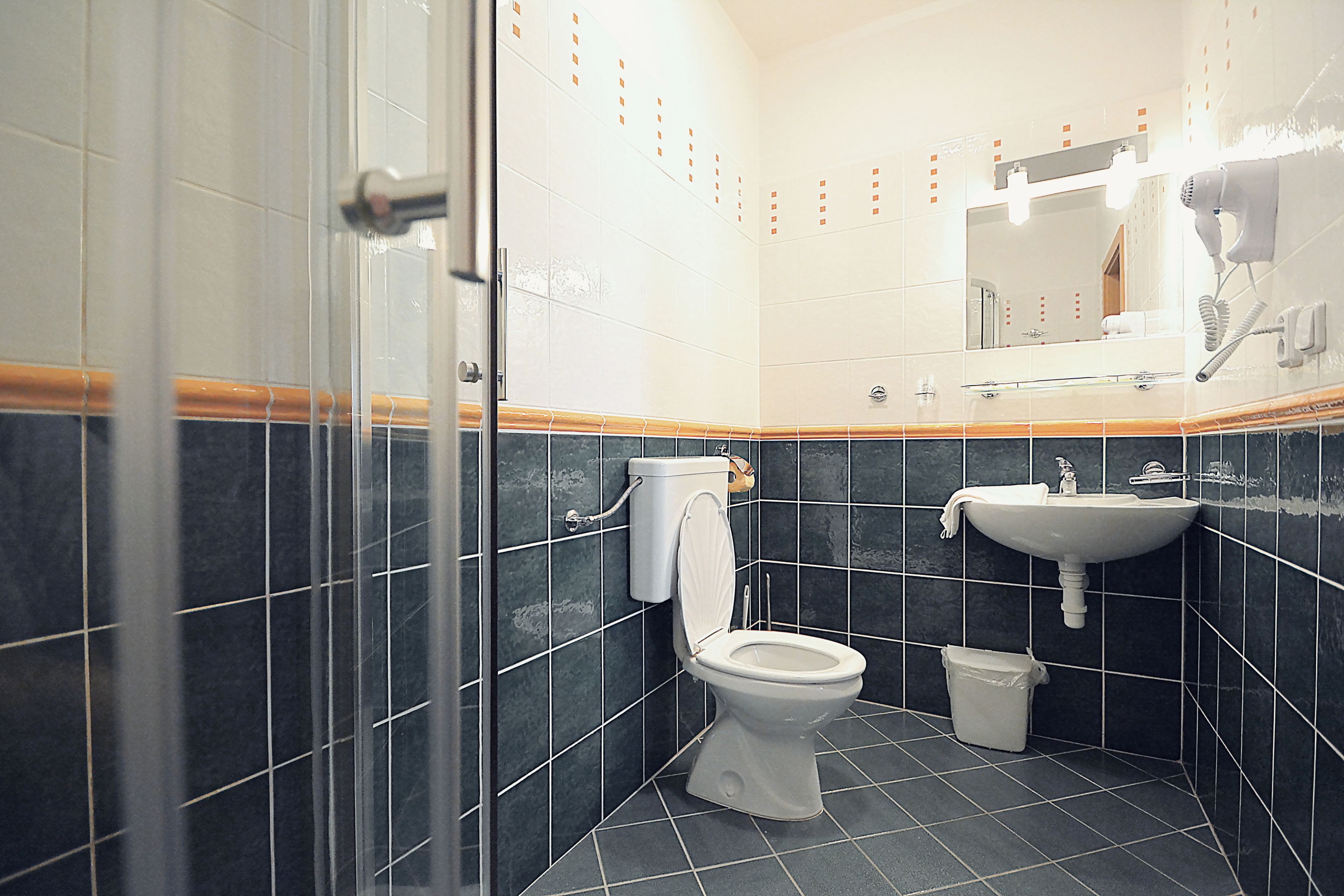 standard room, 1 bedroom, annex building (**) 40% discount for wellness) | bathroom | shower, free toiletries, hair dryer, towels