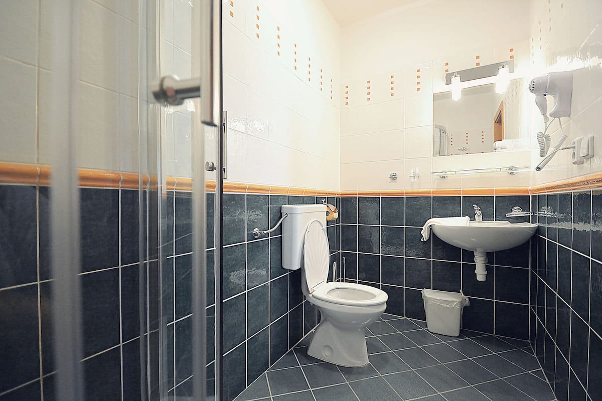 standard room, 1 bedroom, annex building (**) 40% discount for wellness) | bathroom | shower, free toiletries, hair dryer, towels