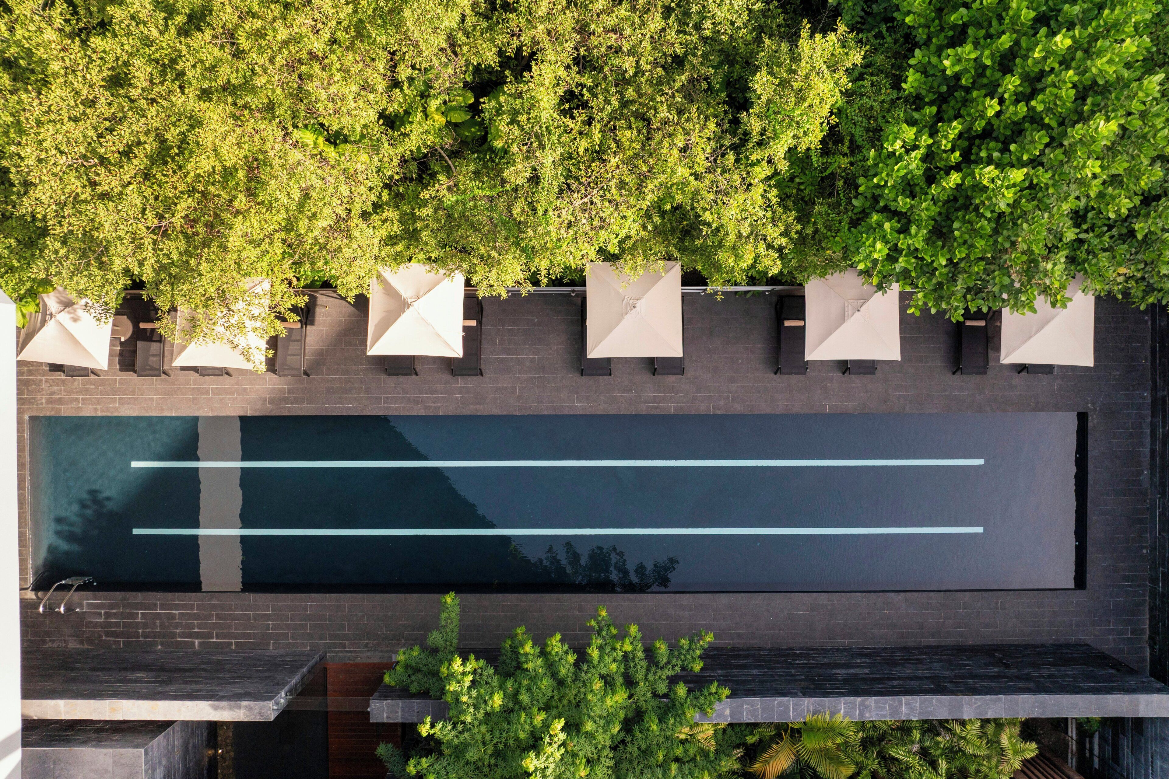 A rooftop pool with a modern design, surrounded by lush greenery and a dark brick wall.