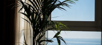 12th Floor Apartments