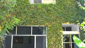 A building with a yellow facade partially covered by green ivy. - Hotel Don Nino (Oaxaca)