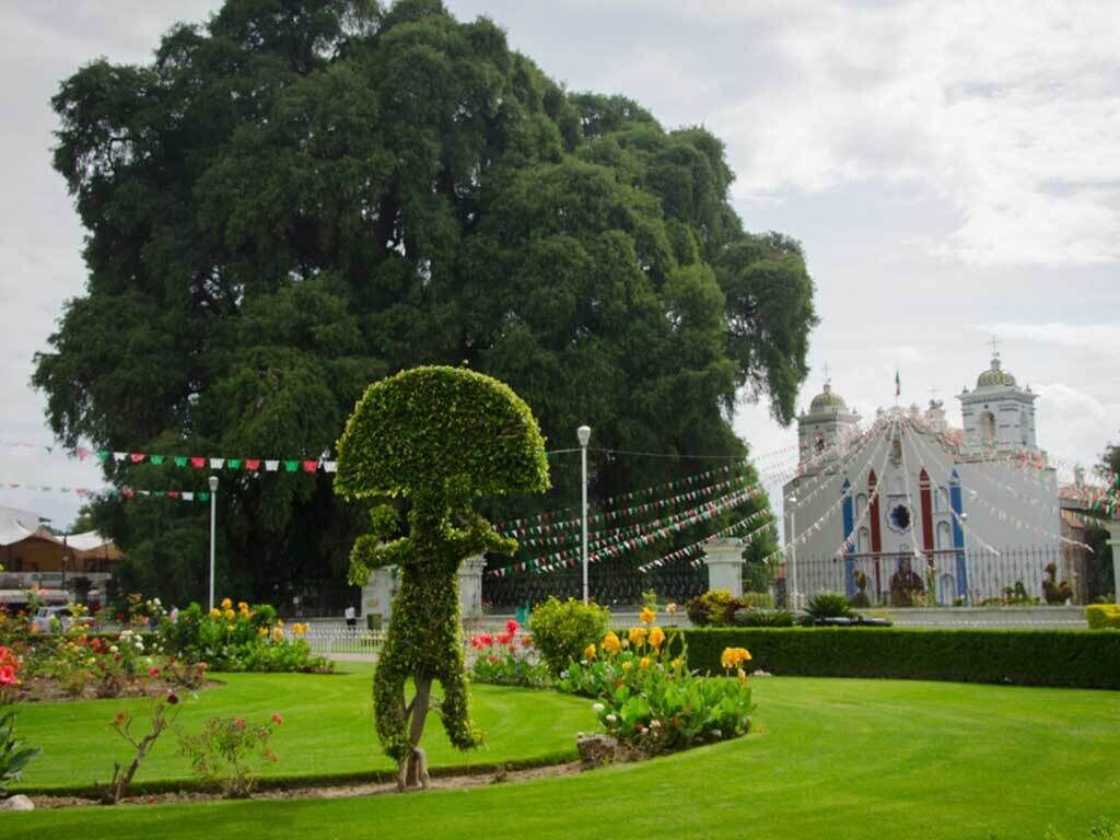 Foto - Hotel Don Nino