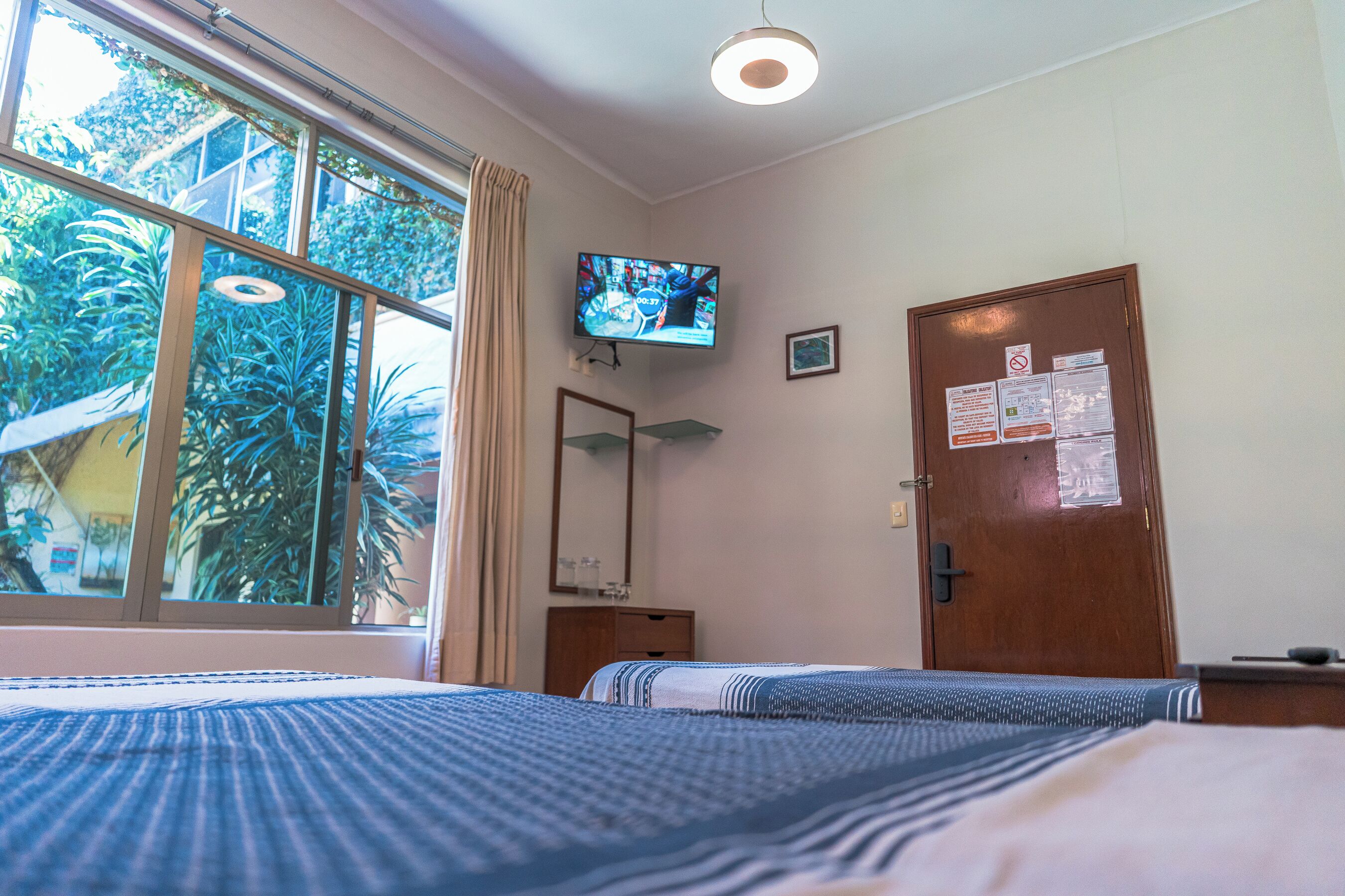 Foto - Hotel Don Nino