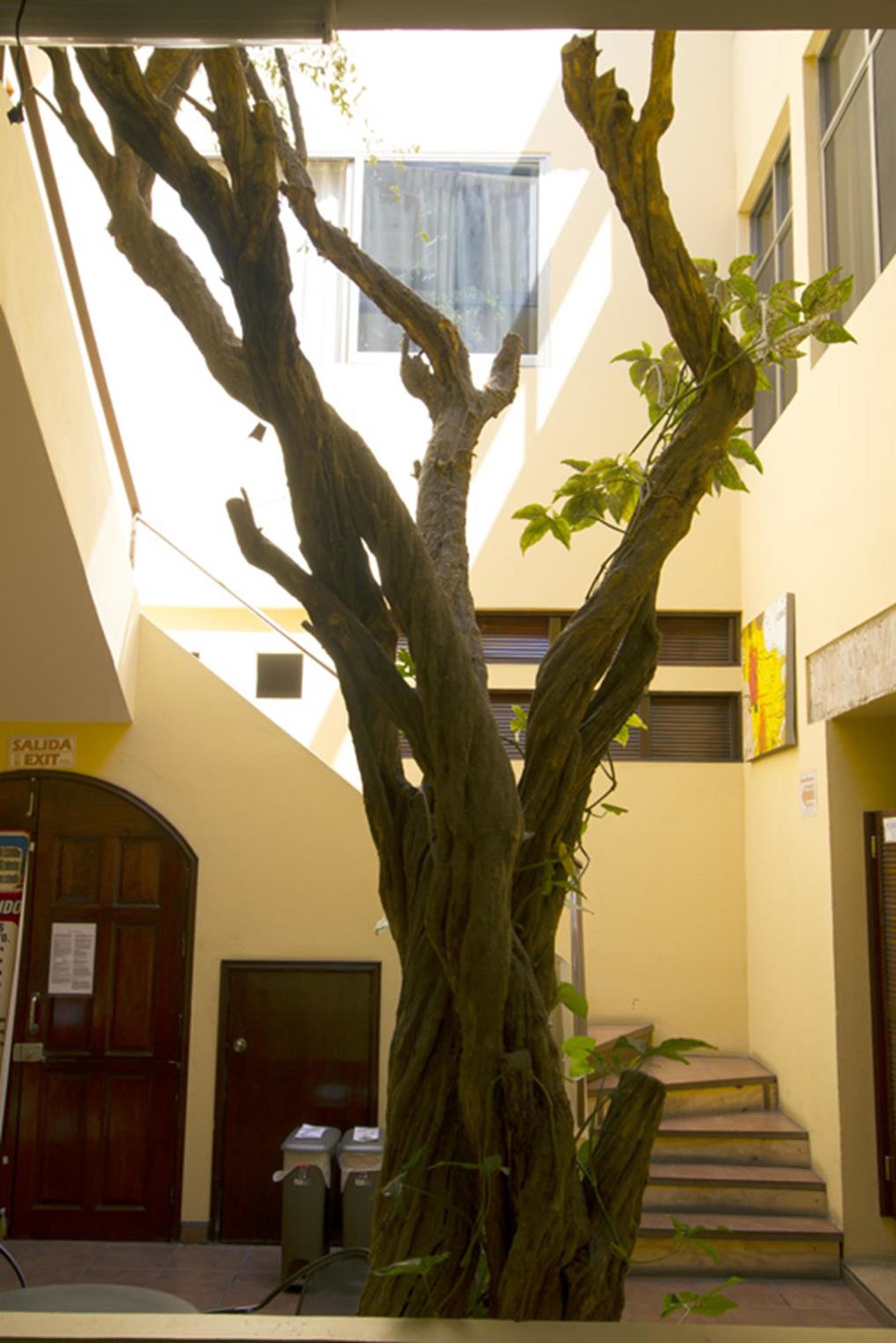 Foto - Hotel Don Nino