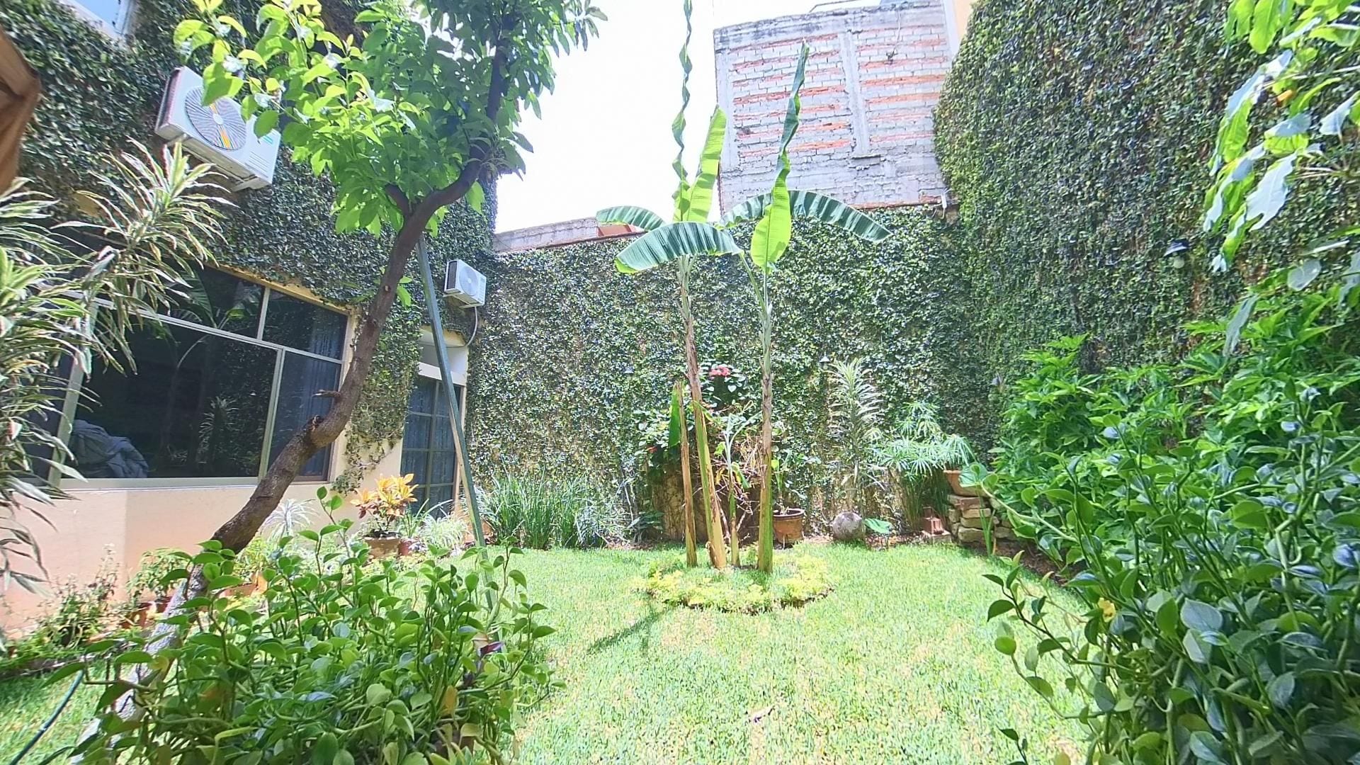 Foto - Hotel Don Nino
