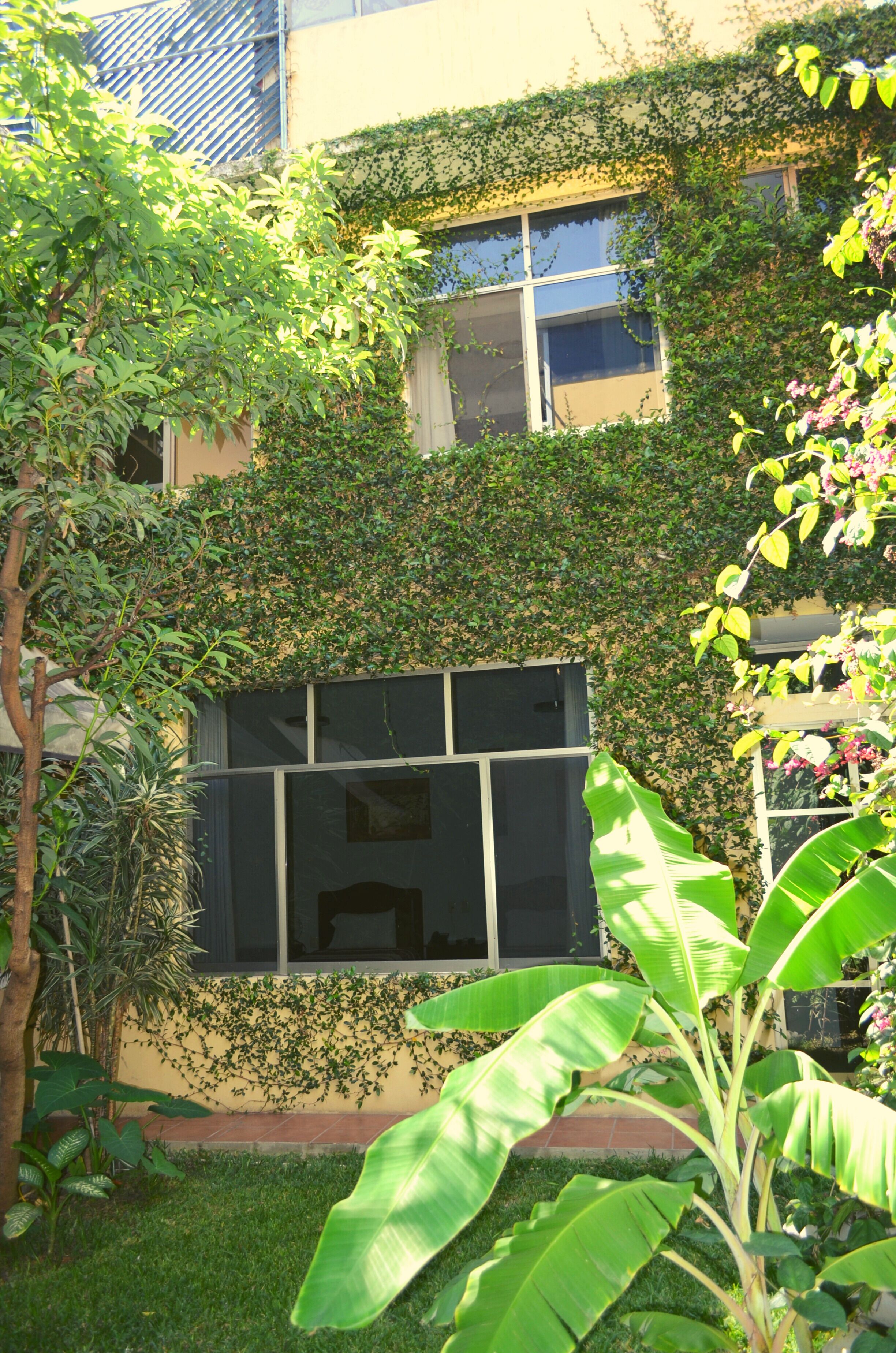 Foto - Hotel Don Nino