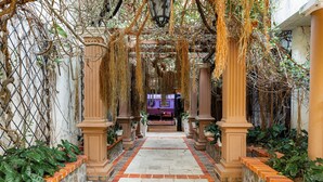 A pathway leading to a building with a purple door, surrounded by greenery and brick walls. - The MT Hotel (Punta Cana)