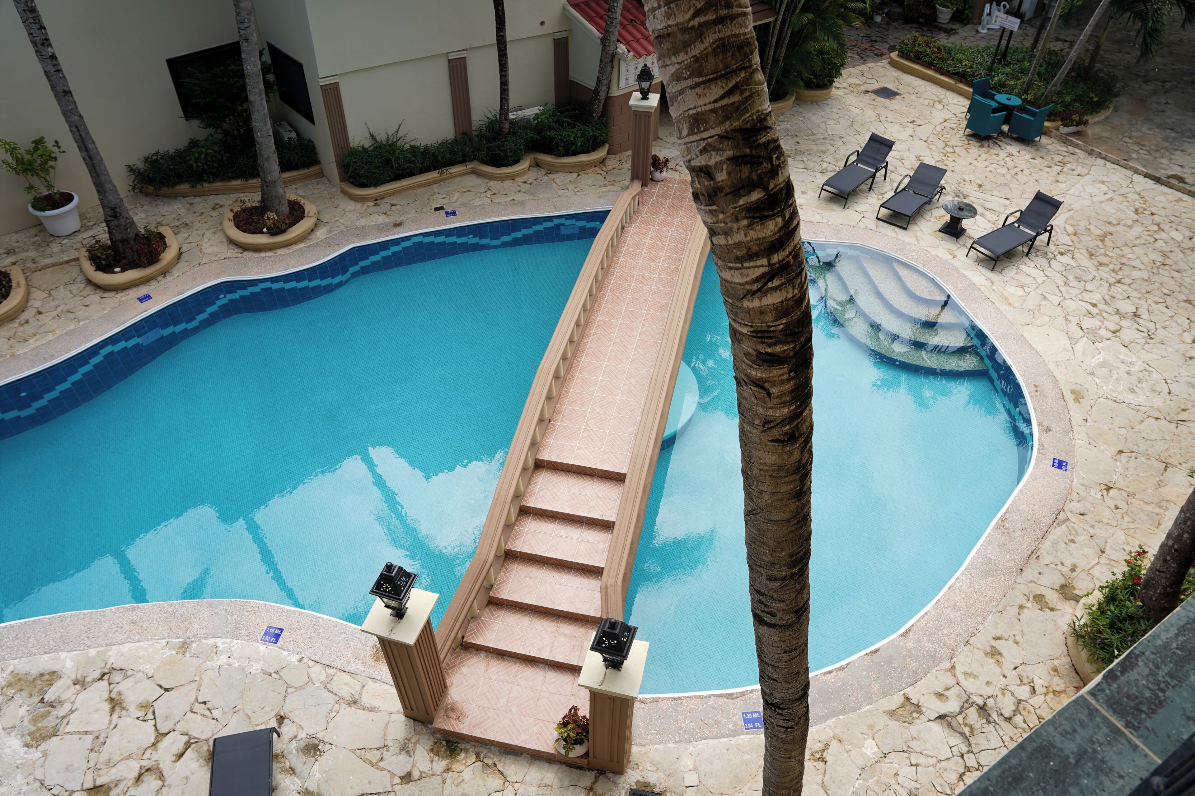 Piscina con escalones, sillas de descanso y palmeras.
