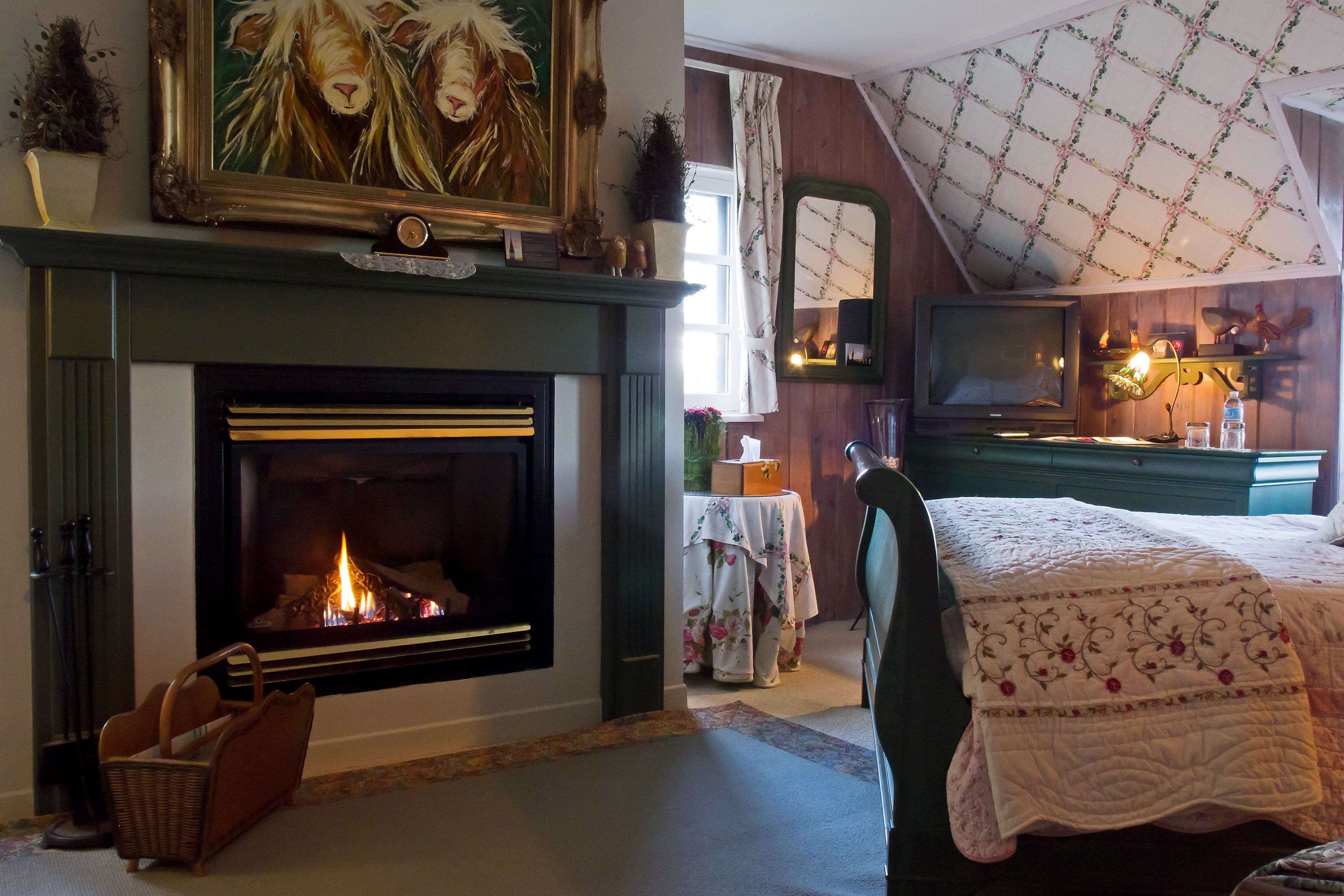Een gezellige kamer met een open haard, een bed, een televisie en een tafel met een bloemen tafelkleed.