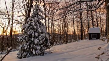 Un paysage enneigé avec une cabane et de nombreux arbres.