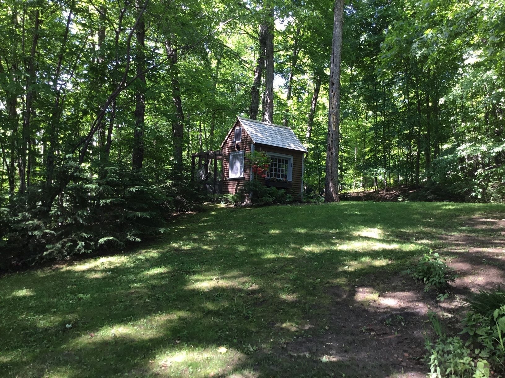 A small cabin surrounded by dense forest.
