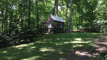 A small cabin surrounded by dense forest.