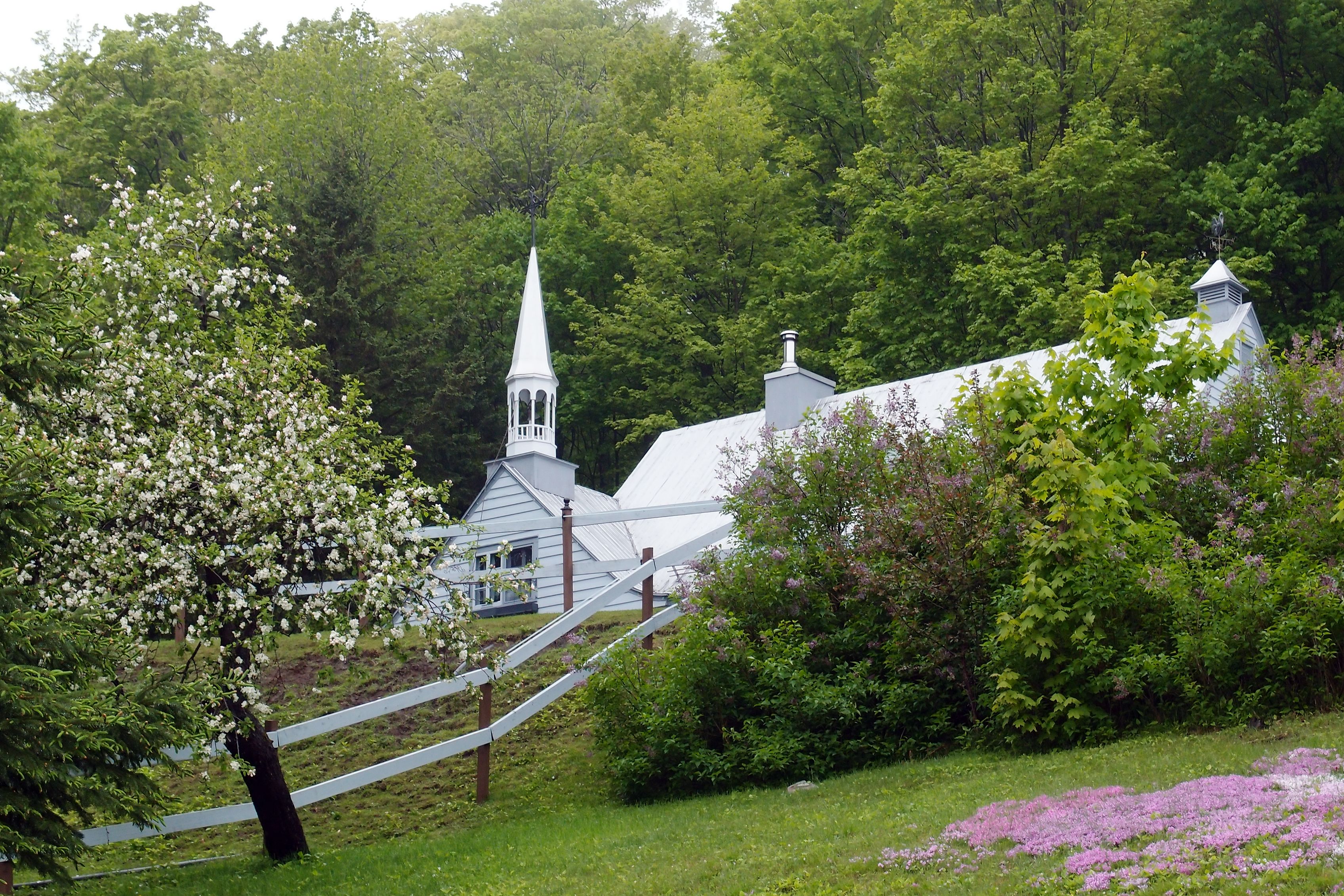 Una iglesia blanca con campanario, rodeada de vegetación exuberante y árboles en flor.