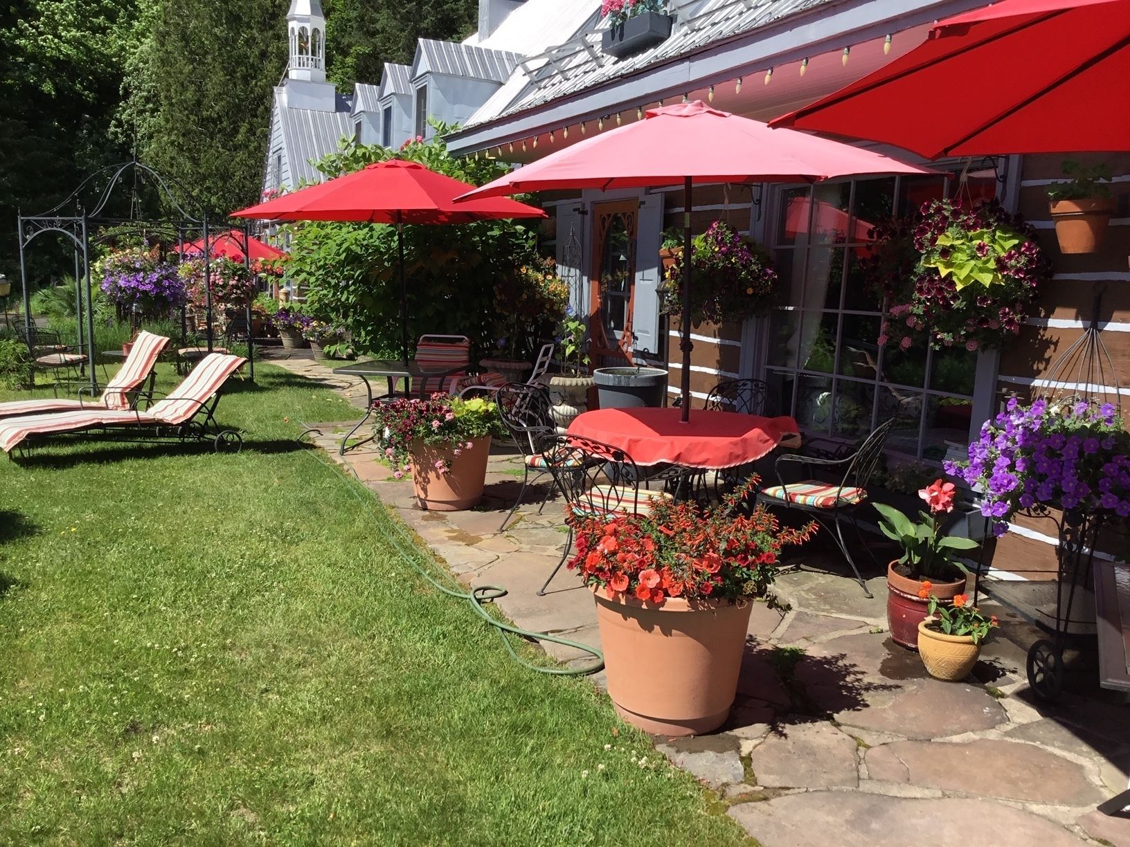 A patio area with red umbrellas, lounge chairs, and potted plants.