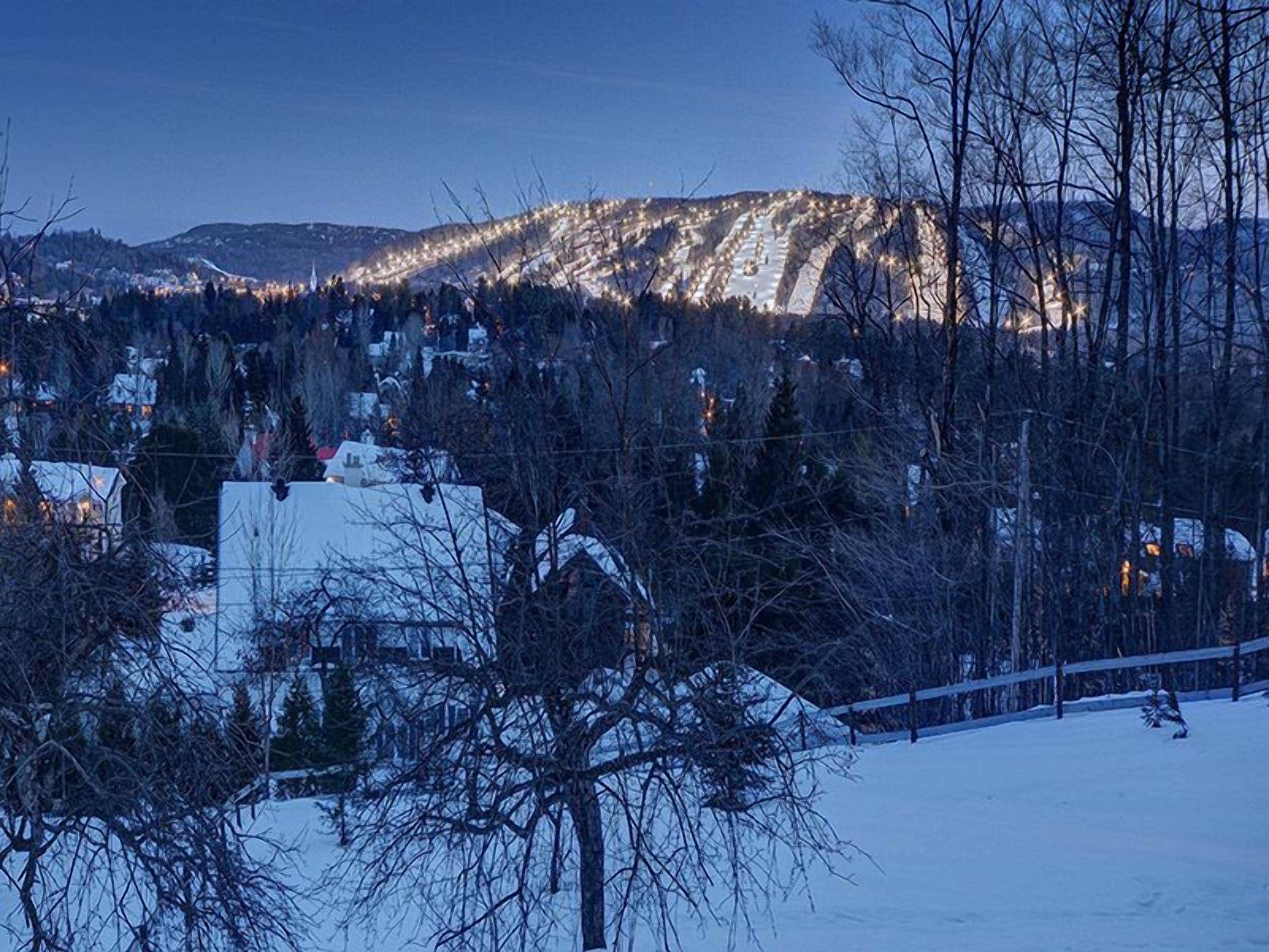 A snowy landscape with a mountain in the background and a residential area in the foreground.