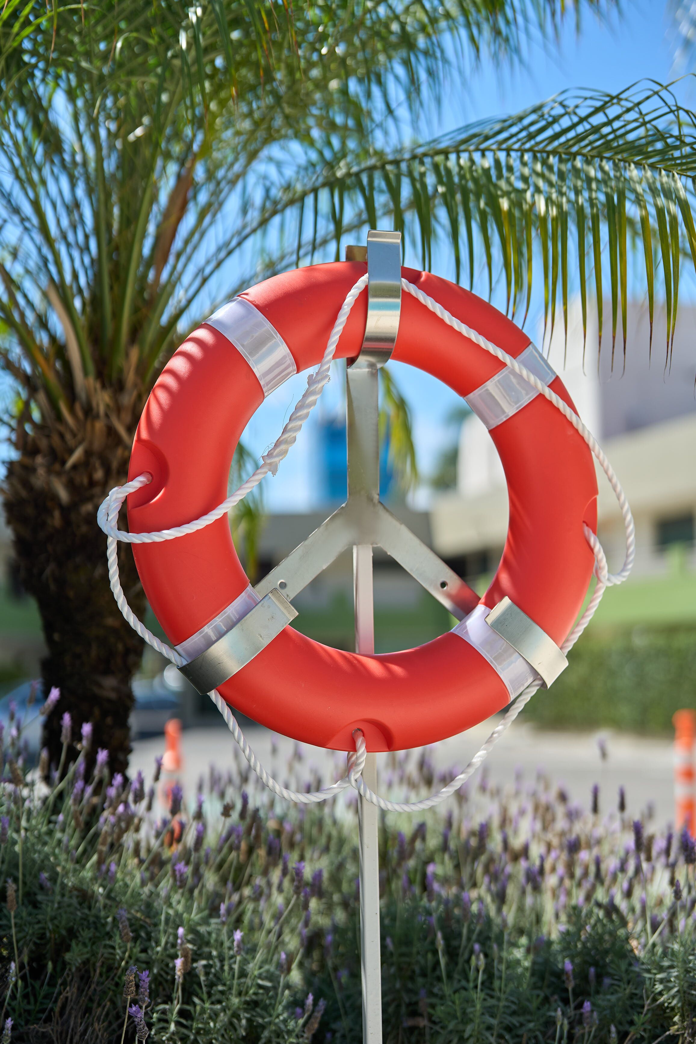 Foto - Hotel Estancia Business Class