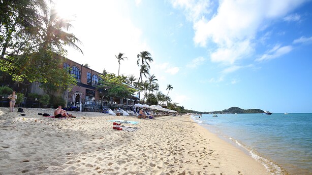A beach with a building, palm trees, and a clear sky. - Samui Diving Resort (Koh Samui)