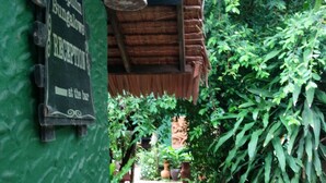 Un área de recepción con un letrero que indica 'Dolphin Bungalows' y un sendero que atraviesa un follaje exuberante.