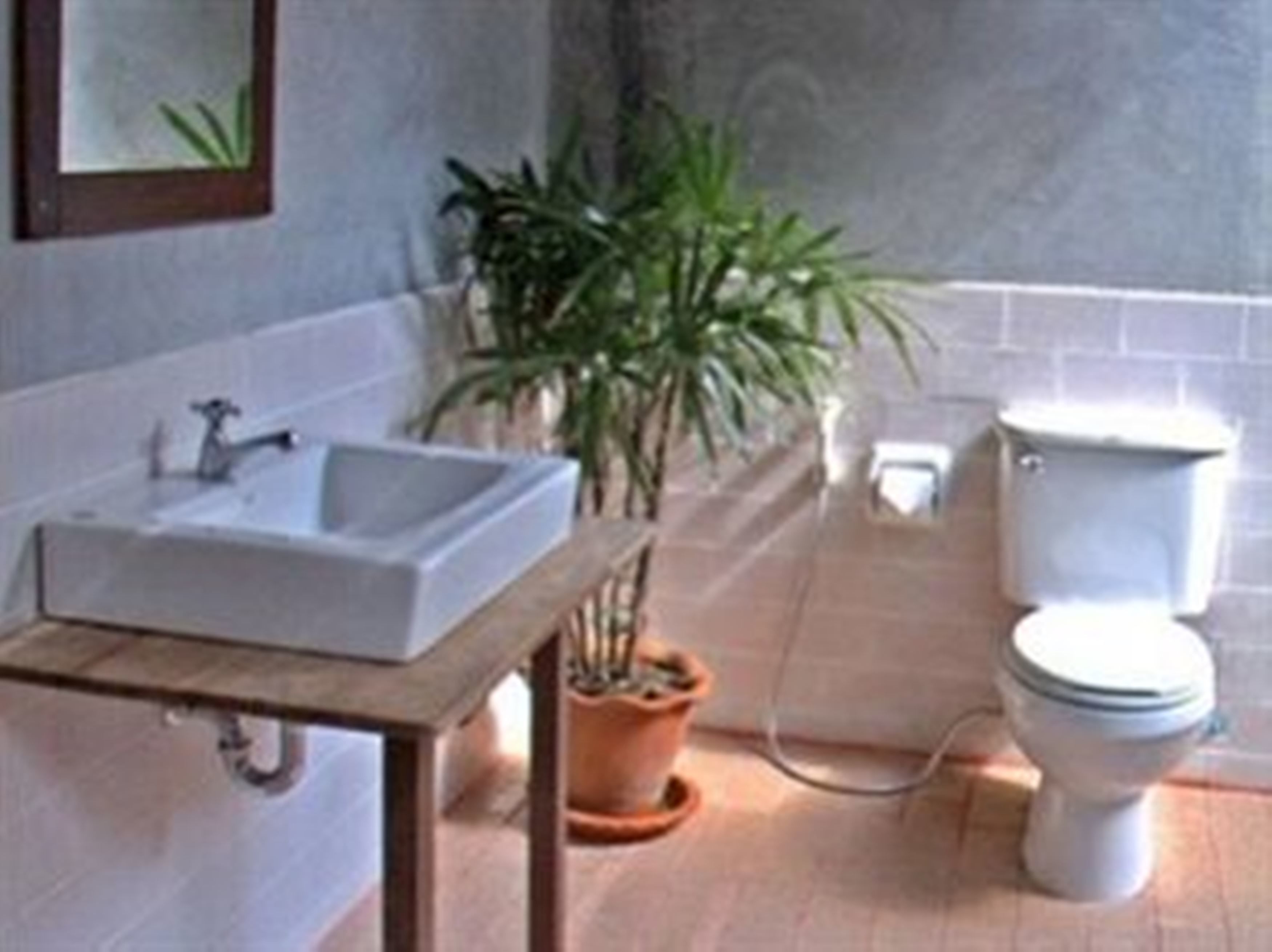 shower, free toiletries, towels