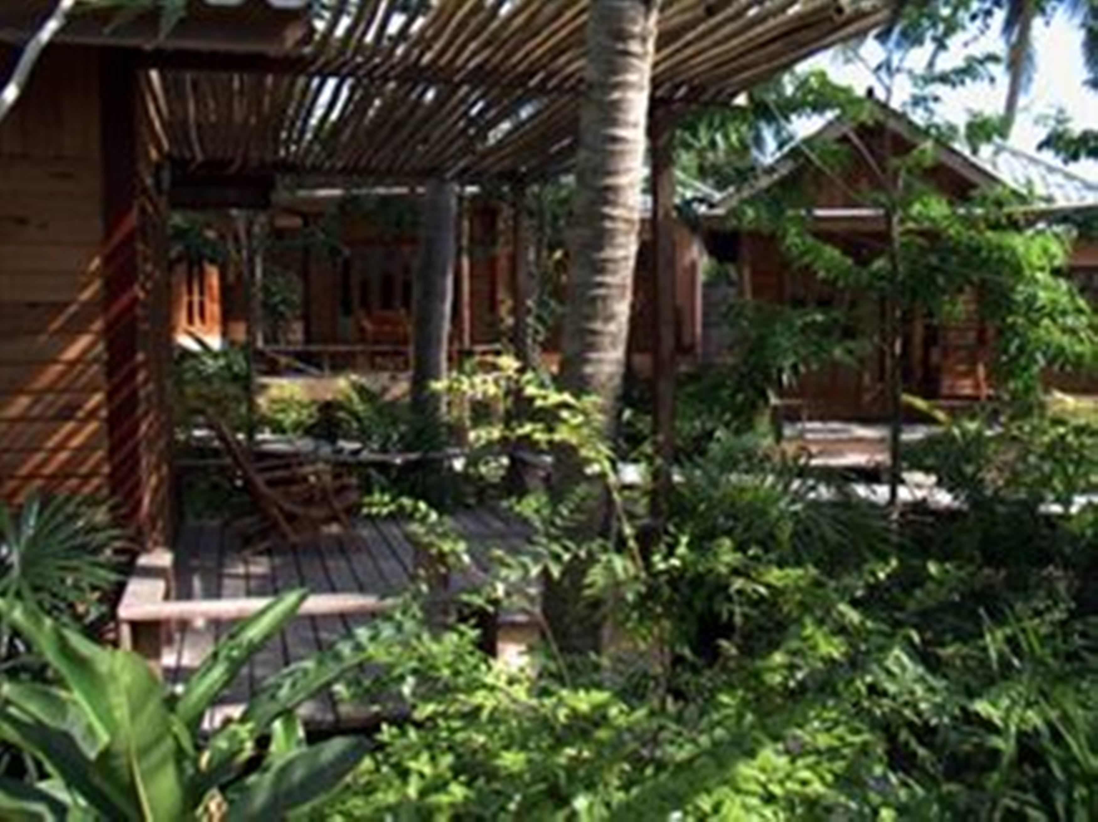 garden view cottage | view from room