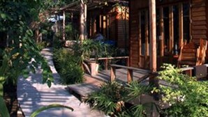 A wooden cabin with a porch, surrounded by lush greenery. - Sunset Cove Resort (Ko Pha-ngan)